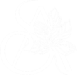 serenityacuspa logo