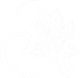 serenityacuspa logo